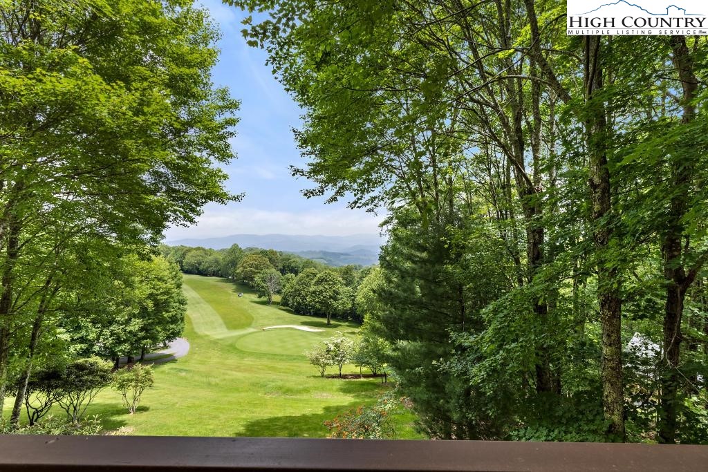 212 Grassy Gap Loop Road Beech Mountain, NC 28604 - Photo 31 of 47 Gallery Image 31
