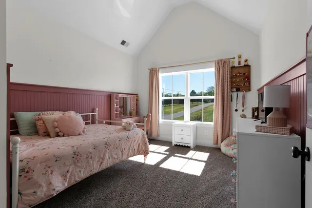 a bedroom with a bed and a television in it