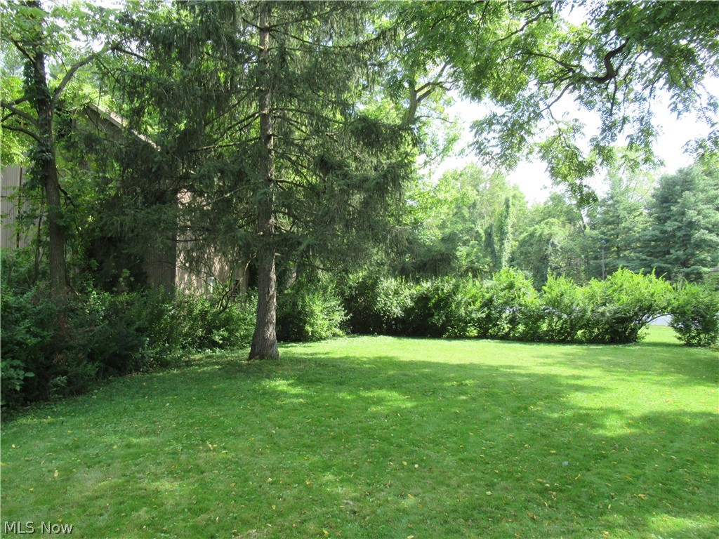 582 Chippewa Road Medina, OH 44215 - Photo 18 of 18 Gallery Image 18