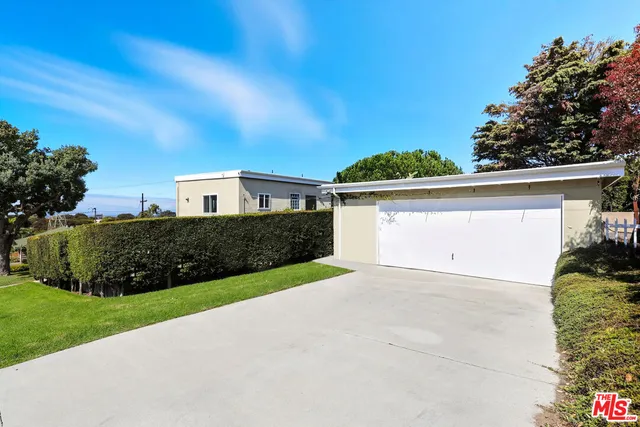 a view of backyard with plants and palm trees