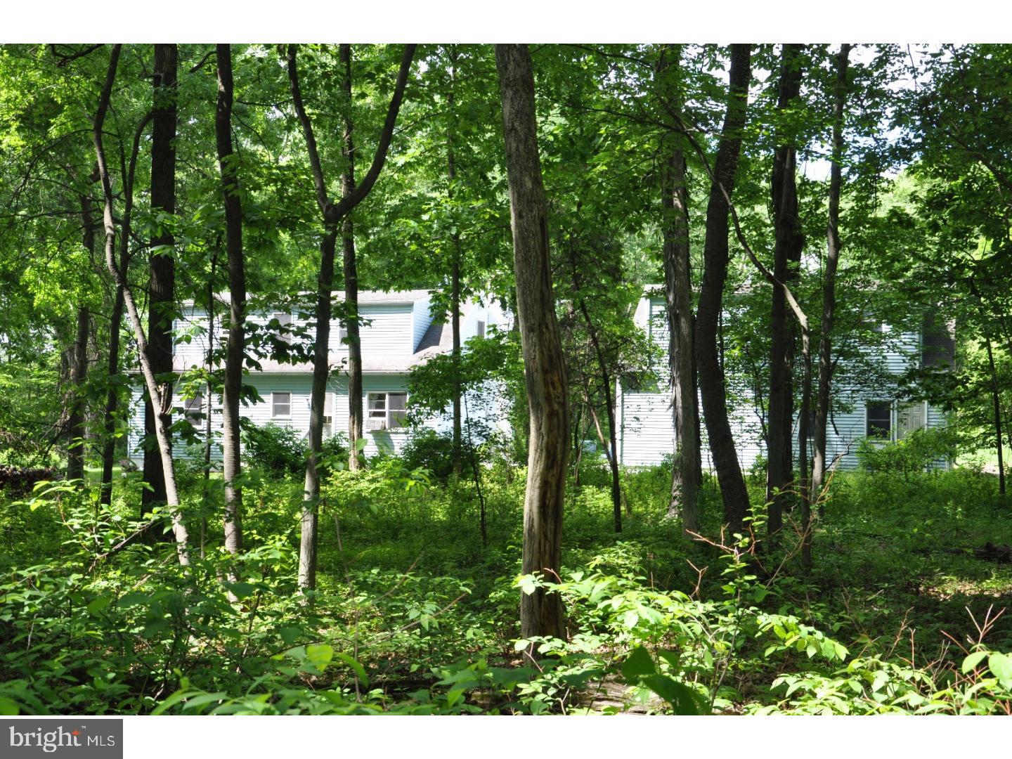 5453 Durham Road Pipersville, PA 18947 - Photo 5 of 24 Gallery Image 5