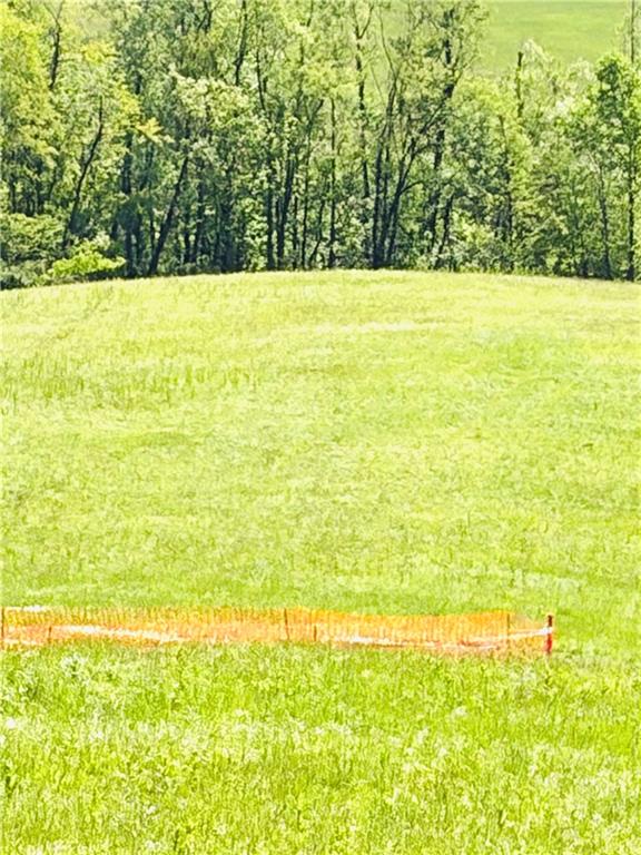 0 Lyons Road Claysville, PA 15323 - Photo 4 of 5