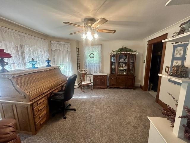 300 West Maple Street Gladwin, MI 48624 - Photo 6 of 40