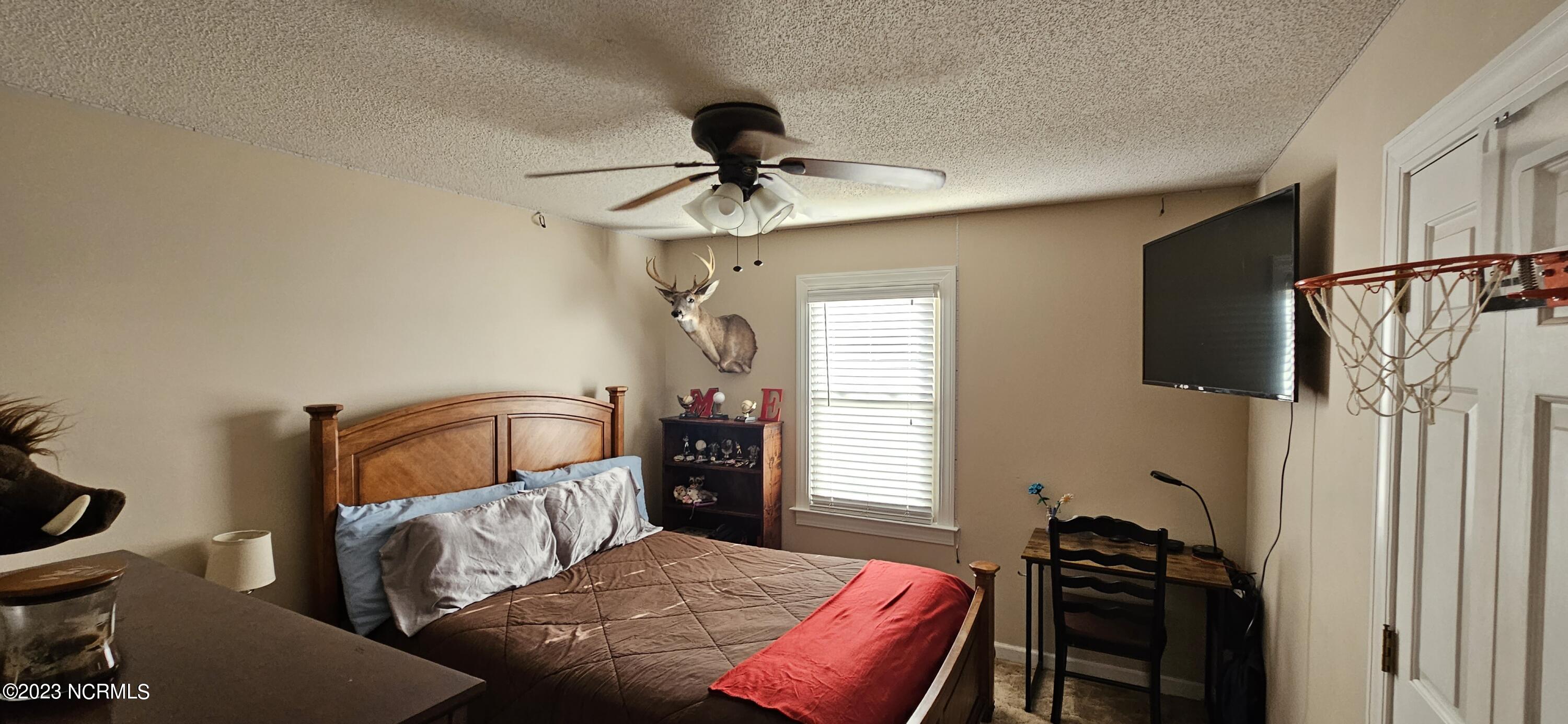 401 Harmony Church Road Clinton, NC 28328 - Photo 18 of 25 20231129_154111
