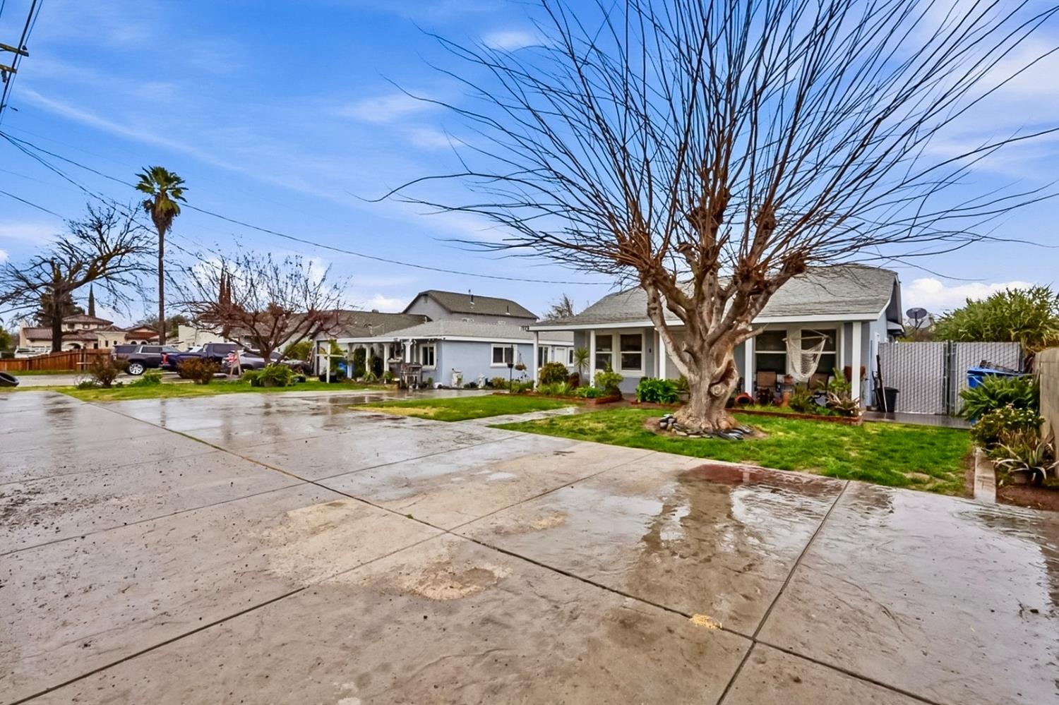 1829 River Road Modesto, CA 95351 - Photo 14 of 44 a view of a yard with plants and large tree