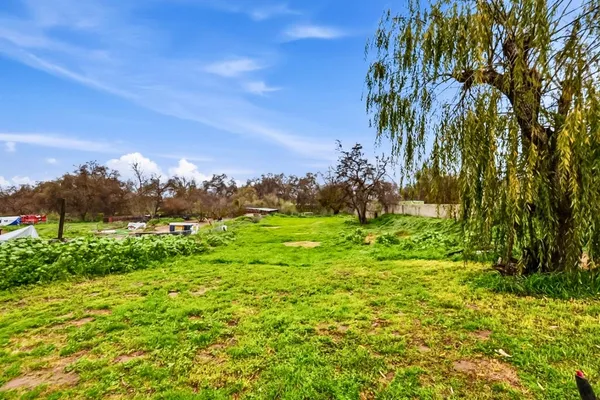 a view of a yard with large trees
