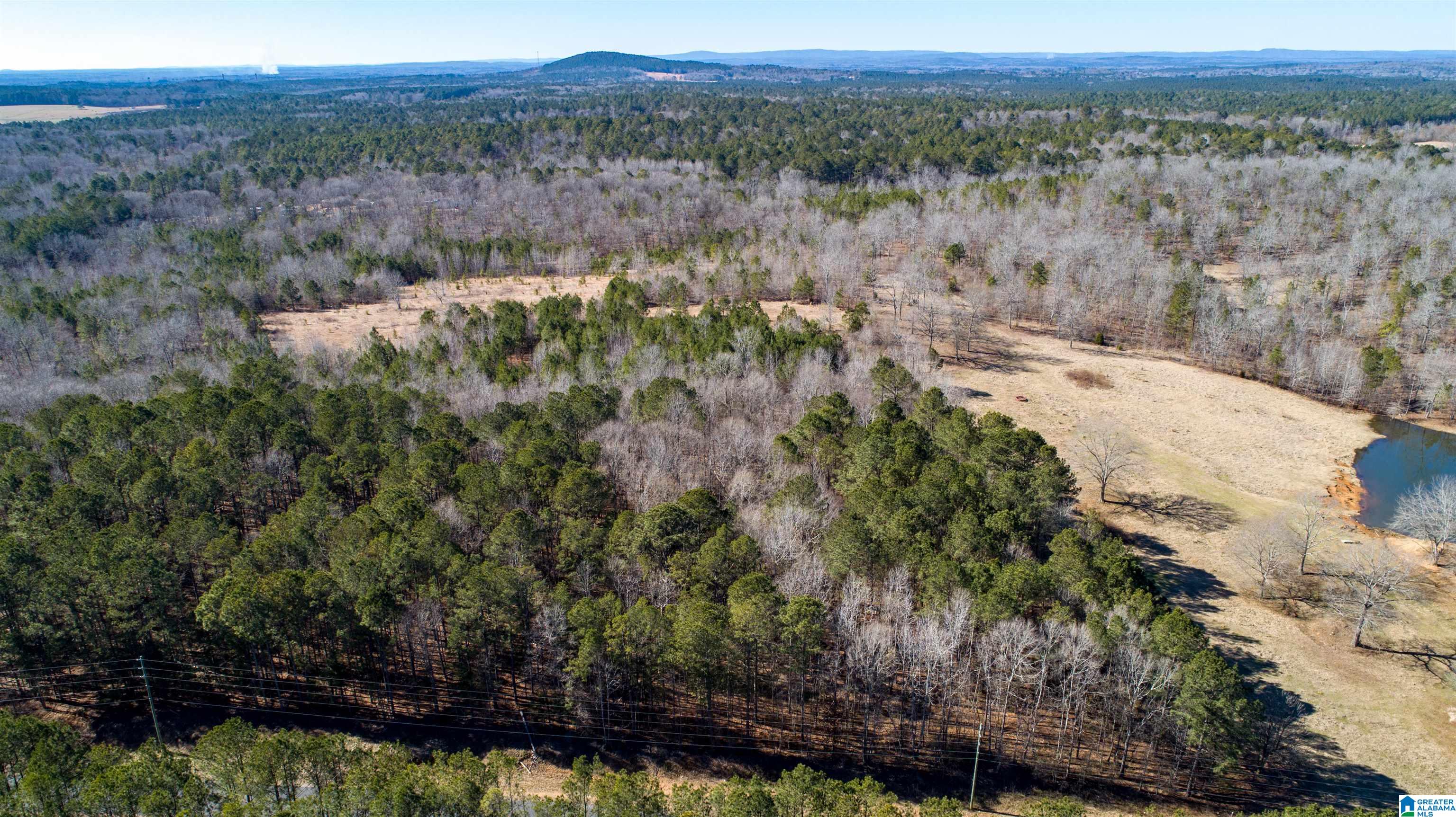 3086 Feddisburg Road, Unit ACREAGE SECTIONS 1 & 2 Alpine, AL 35014 - Photo 18 of 34