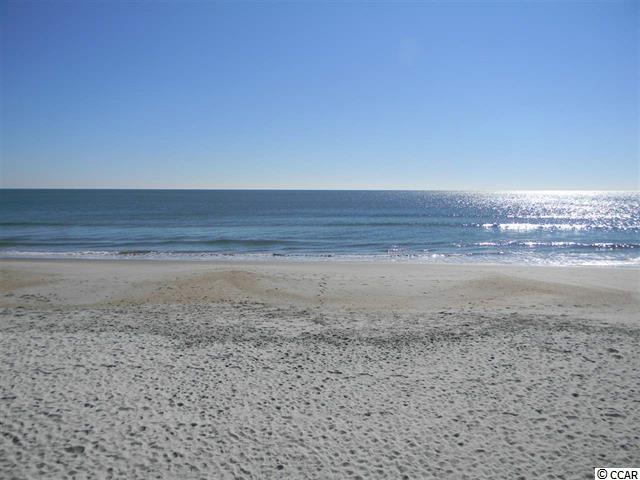 4387 Daphne Lane, Unit H Murrells Inlet, SC 29576 - Photo 36 of 40 Gallery Image 36