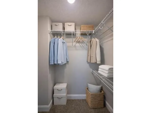 a bathroom with a toilet and a shower curtain