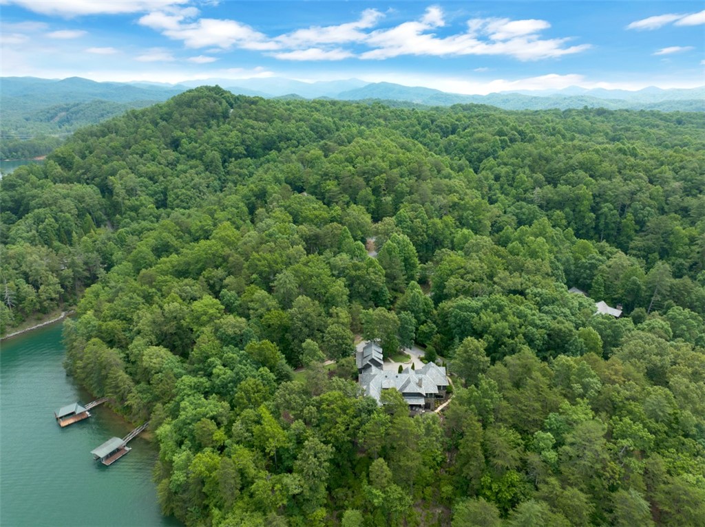 300 Buttercup Way Sunset, SC 29685 - Photo 4 of 50 Gallery Image 4
