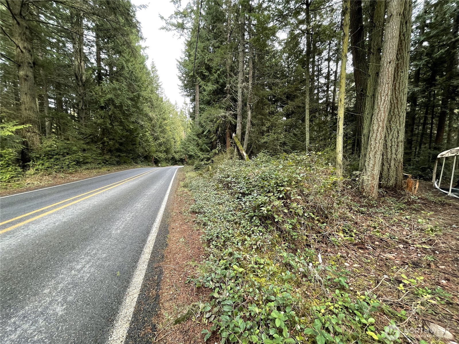 -xxx Campbell Road Clinton, WA 98236 - Photo 19 of 20 Gallery Image 19
