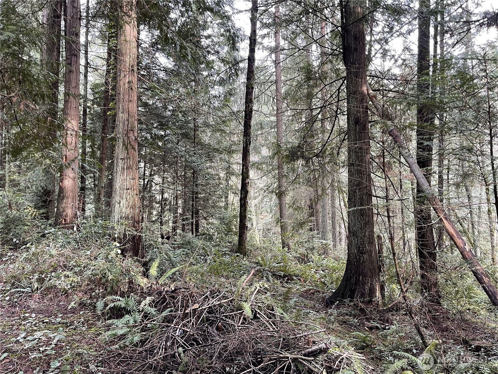 -xxx Campbell Road Clinton, WA 98236 - Photo 10 of 20 Gallery Image 10