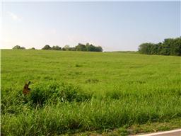 0 Ryes Chapel Road Southside, TN 37051 - Photo 2 of 5 Gallery Image 2