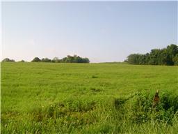 0 Ryes Chapel Road Southside, TN 37051 - Photo 3 of 5 Gallery Image 3