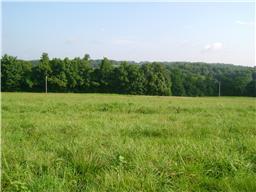 0 Ryes Chapel Road Southside, TN 37051 - Photo 4 of 5 Gallery Image 4
