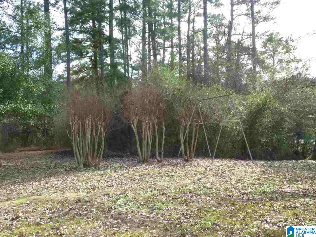 580 Brecon Access Road Talladega, AL 35160 - Photo 32 of 33