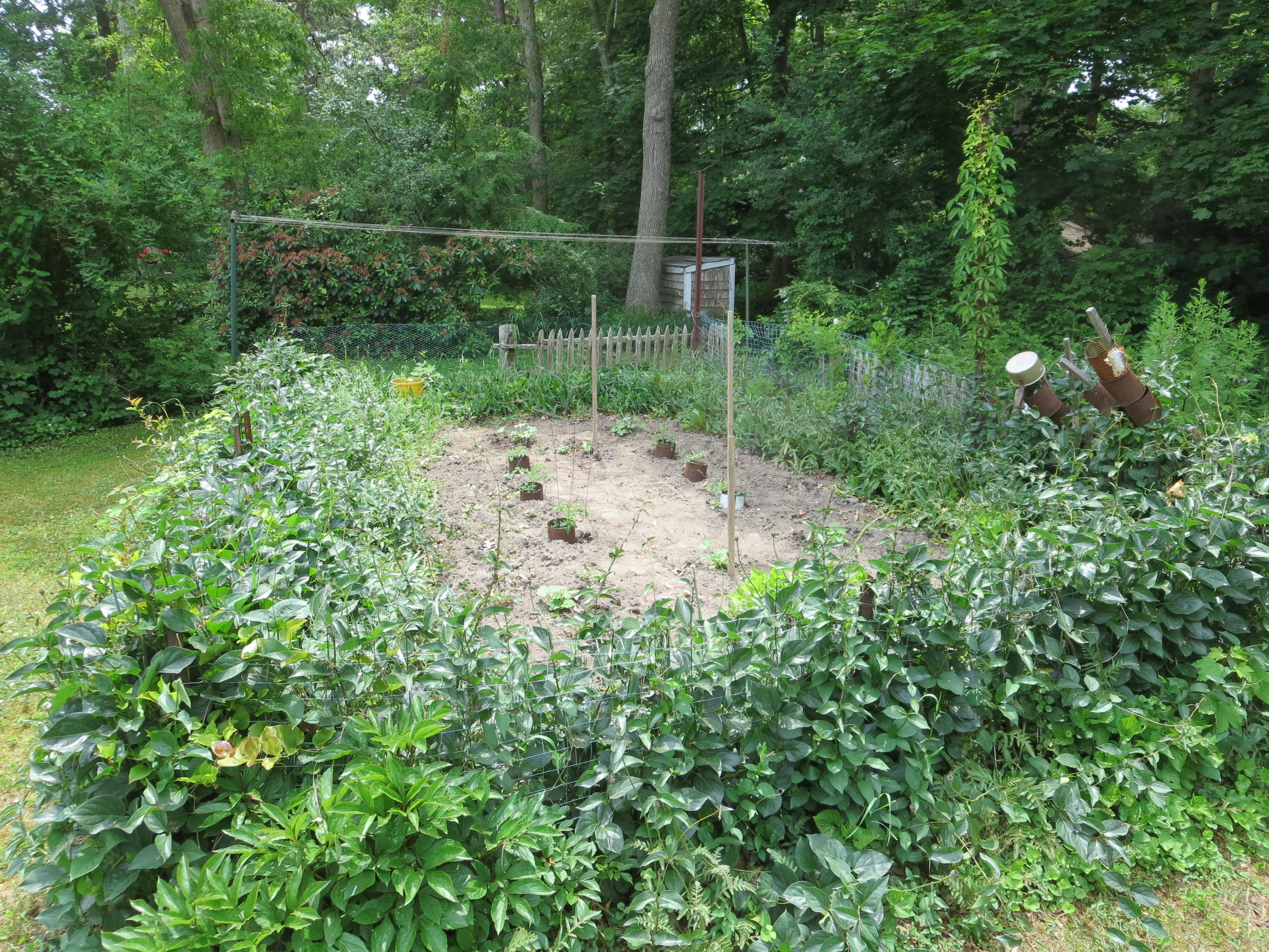 29 Kelley Road Hyannis, MA 02601 - Photo 8 of 21 a view of a backyard