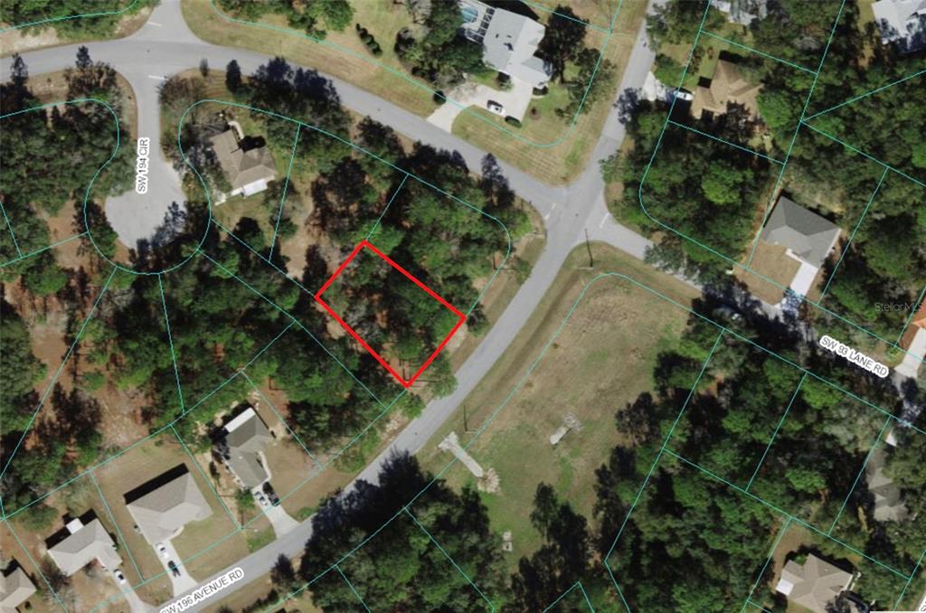 0 Southwest 196th Avenue Road Dunnellon, FL 34432 - Photo 1 of 1