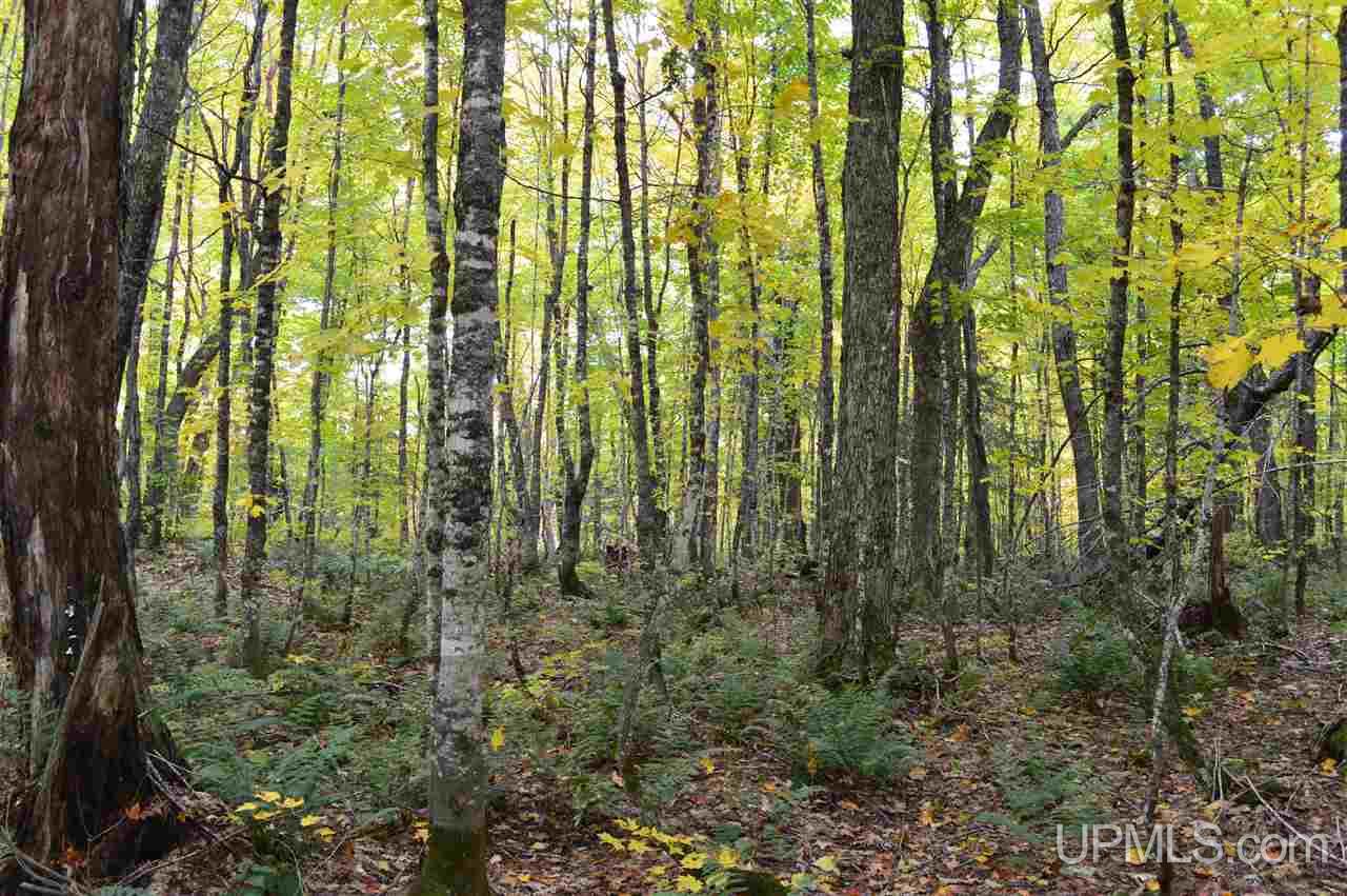 Tbd Peshekee Grade Road Skanee, MI 49962 - Photo 15 of 35