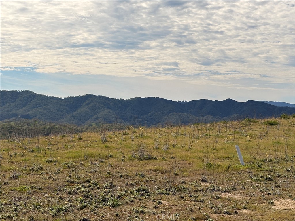 3260 Timberline Drive Paso Robles, CA 93446 - Photo 4 of 20