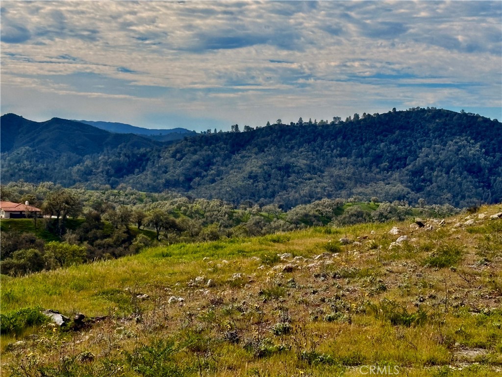3260 Timberline Drive Paso Robles, CA 93446 - Photo 9 of 20
