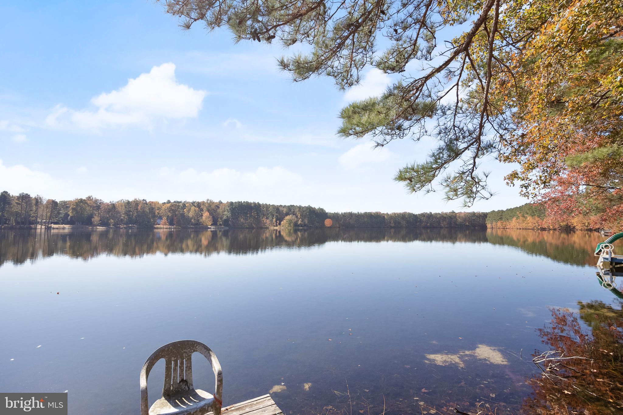 32825 Dagsboro Road Parsonsburg, MD 21849 - Photo 2 of 56