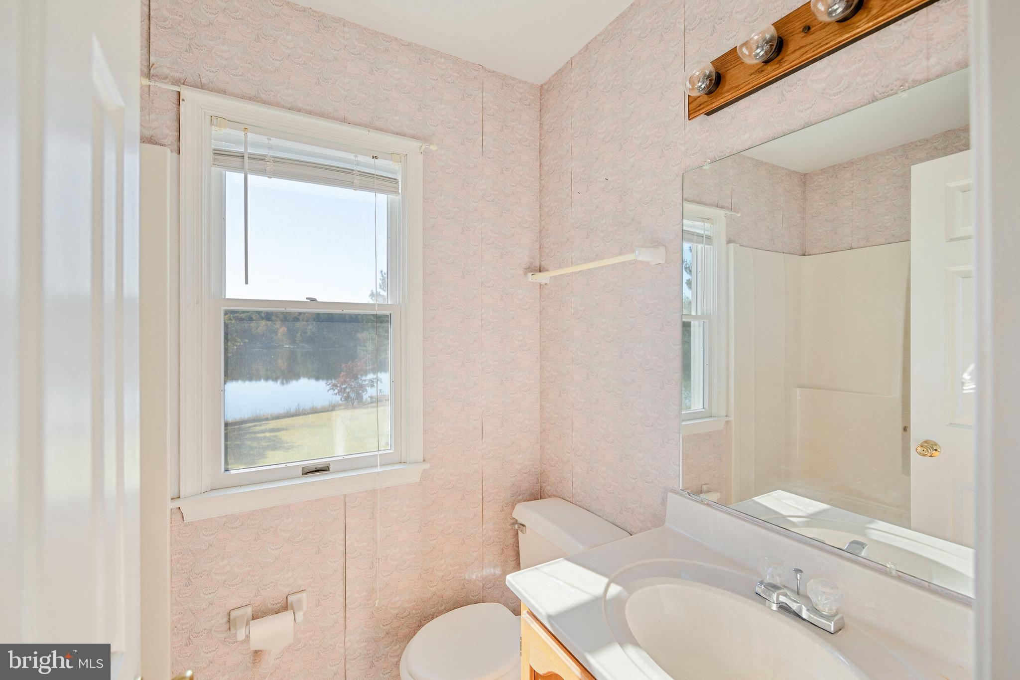 32825 Dagsboro Road Parsonsburg, MD 21849 - Photo 34 of 56 Full Bath