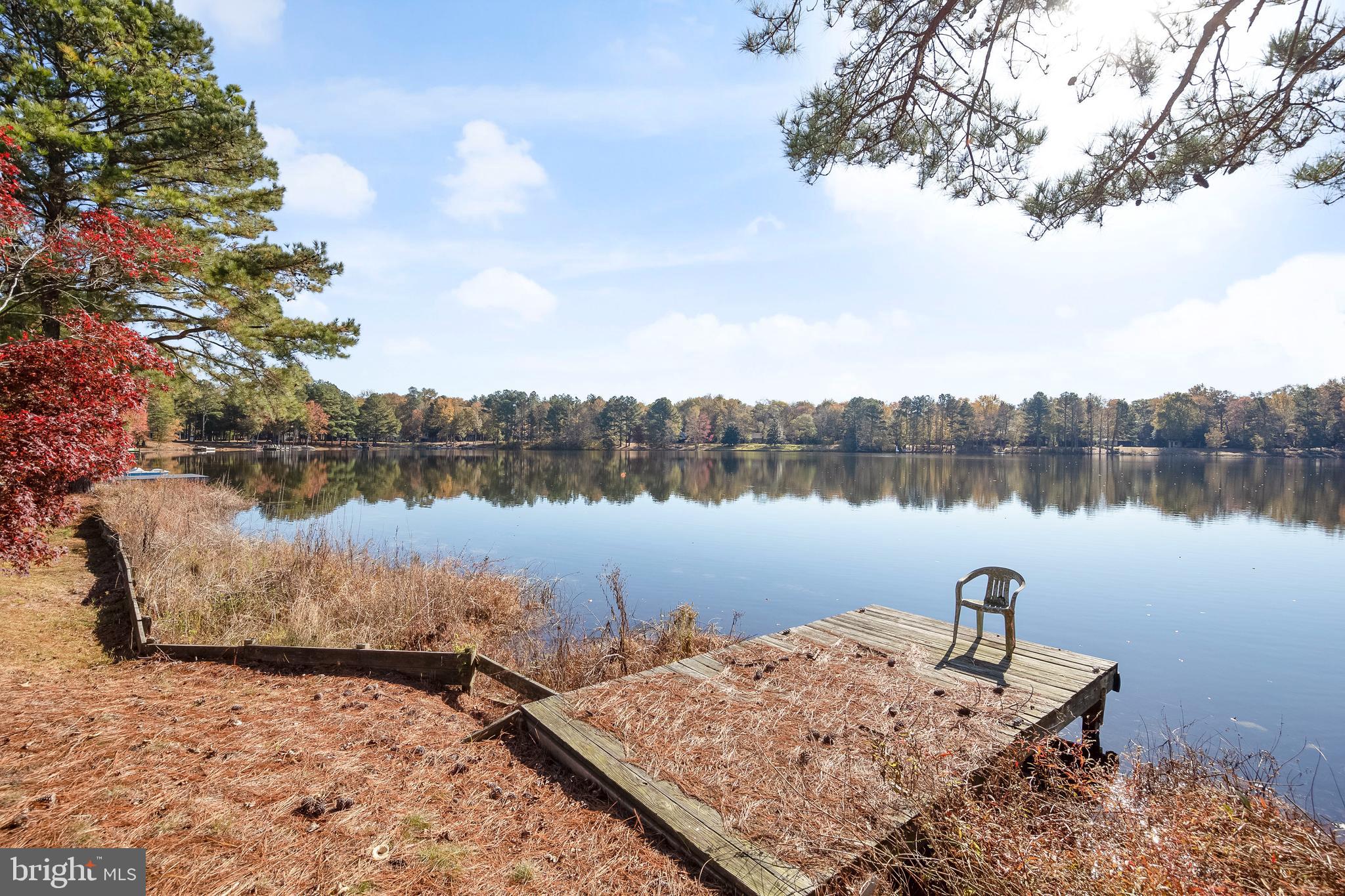 32825 Dagsboro Road Parsonsburg, MD 21849 - Photo 47 of 56 Dock