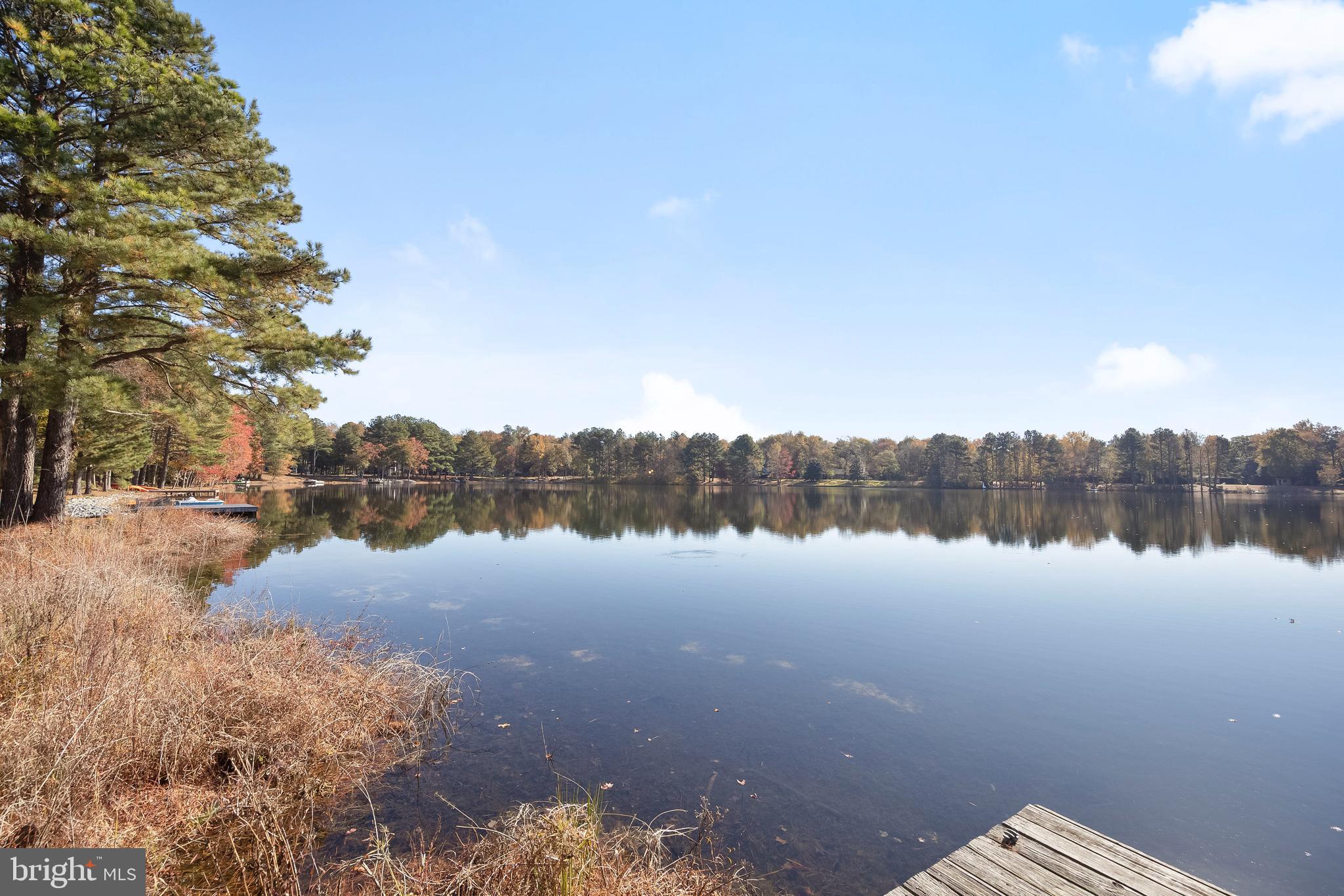 32825 Dagsboro Road Parsonsburg, MD 21849 - Photo 48 of 56 Lake