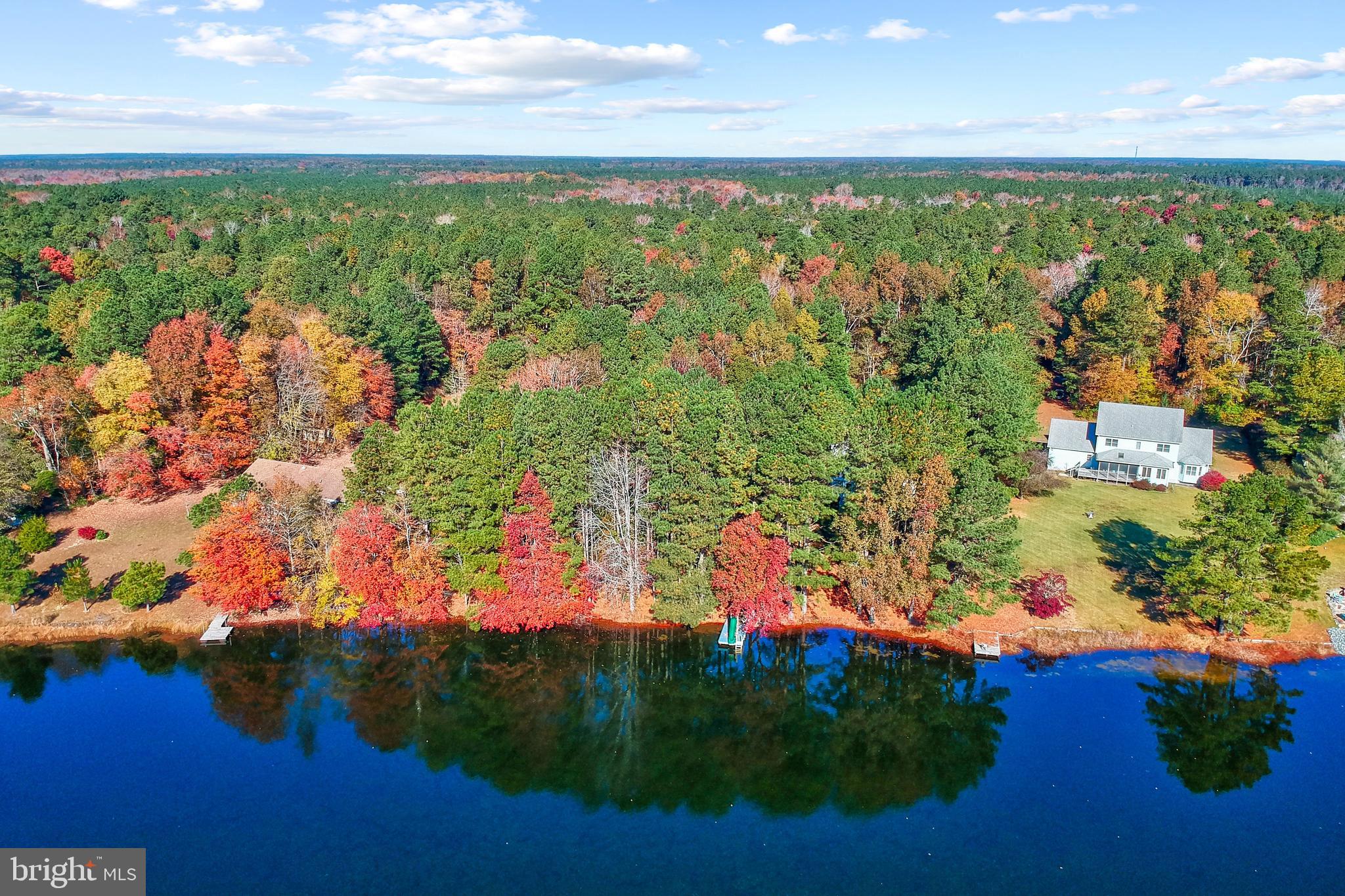 32825 Dagsboro Road Parsonsburg, MD 21849 - Photo 53 of 56 Aerial View