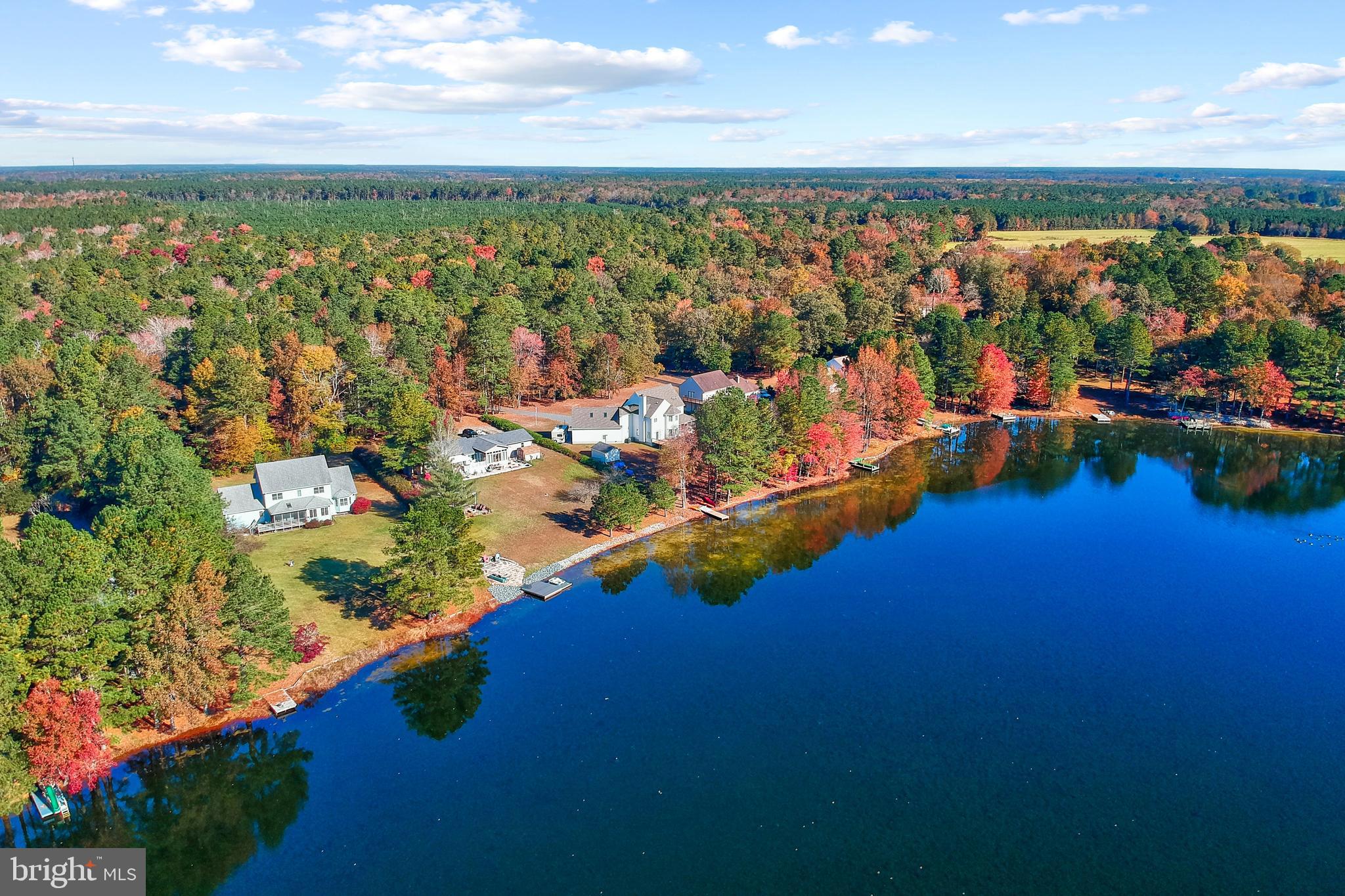 32825 Dagsboro Road Parsonsburg, MD 21849 - Photo 54 of 56 Aerial View