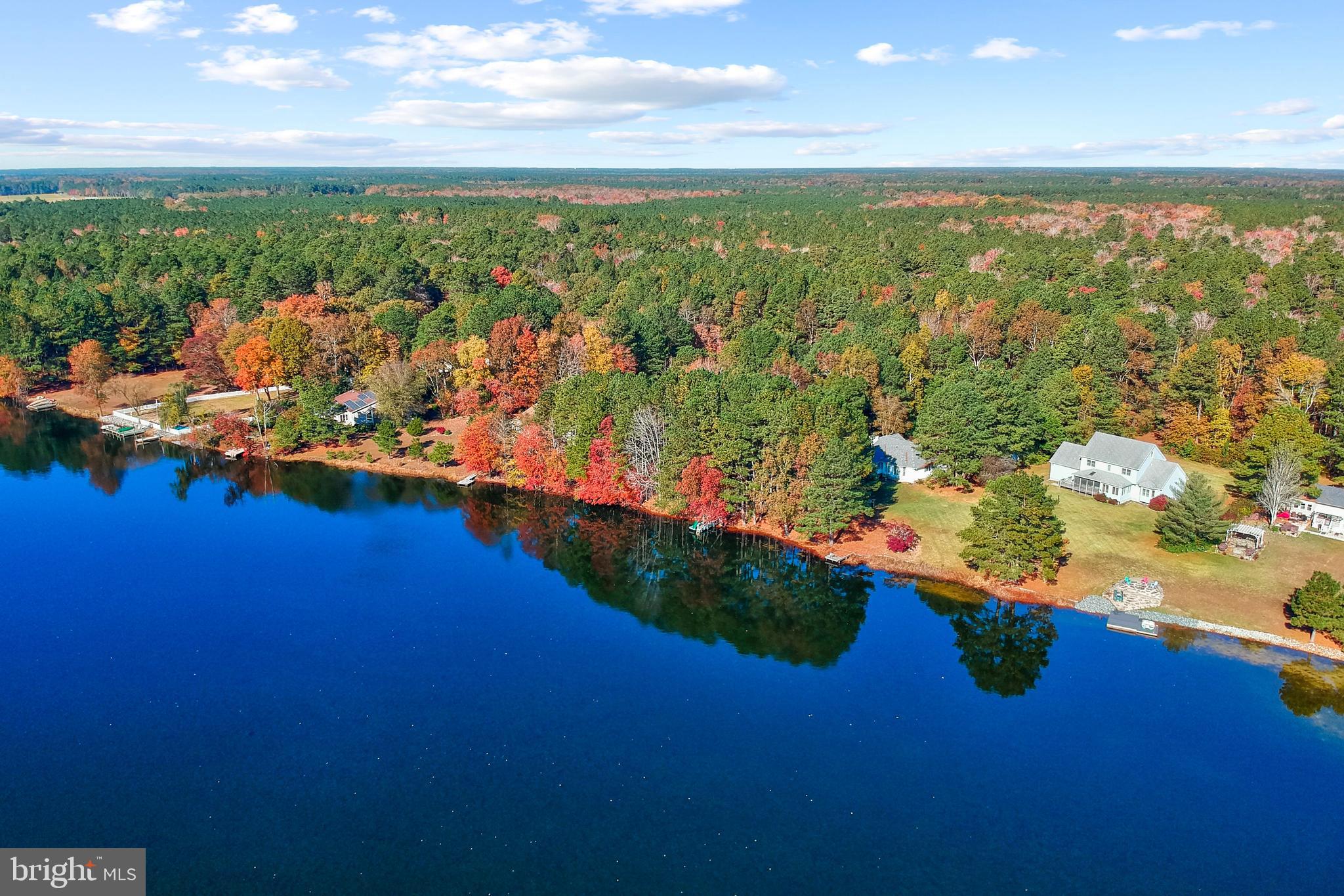 32825 Dagsboro Road Parsonsburg, MD 21849 - Photo 55 of 56 Aerial View