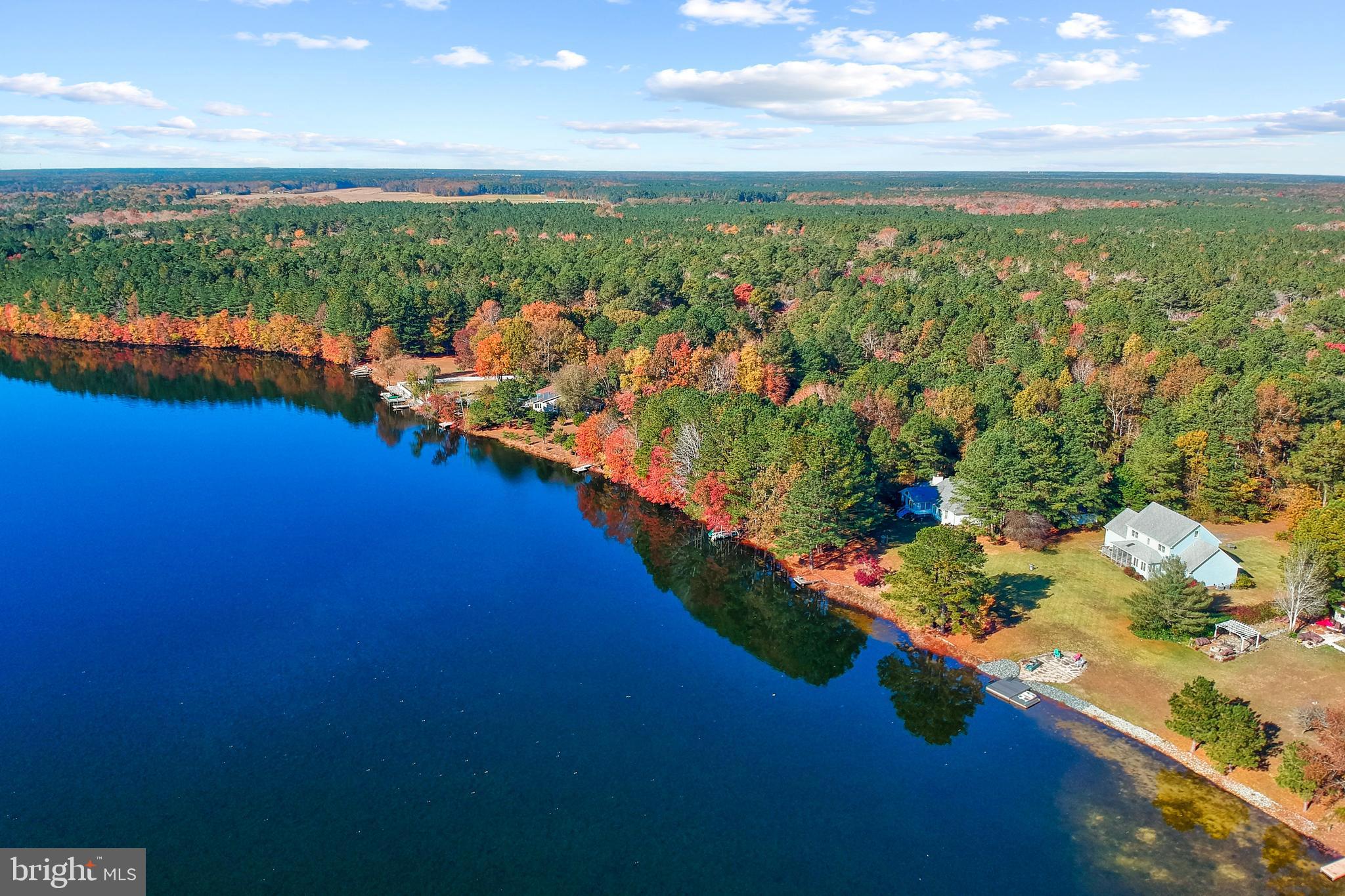 32825 Dagsboro Road Parsonsburg, MD 21849 - Photo 56 of 56 Aerial View