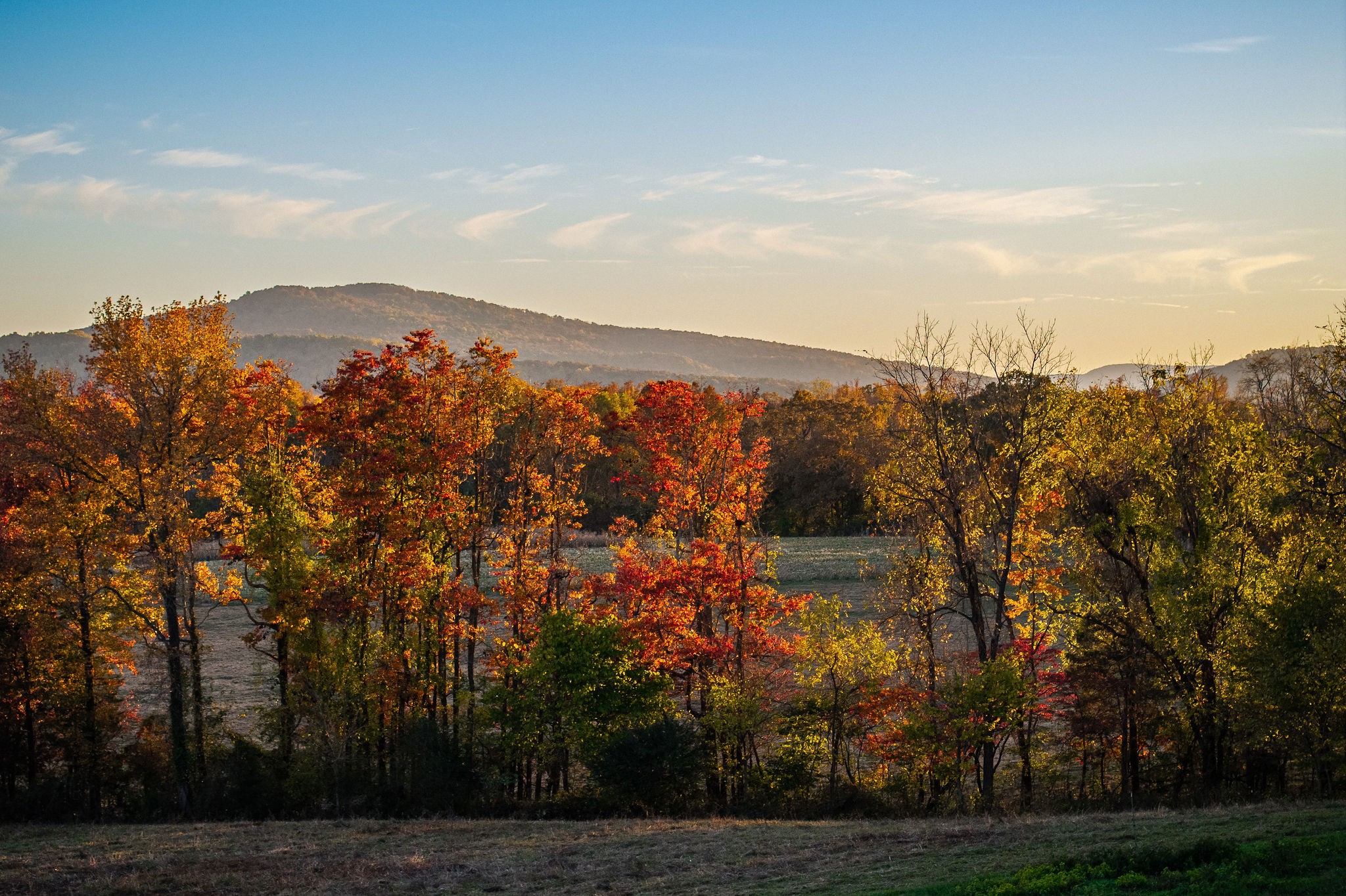 0 Collier Lane Rock Island, TN 38581 - Photo 13 of 14 a view of a lake