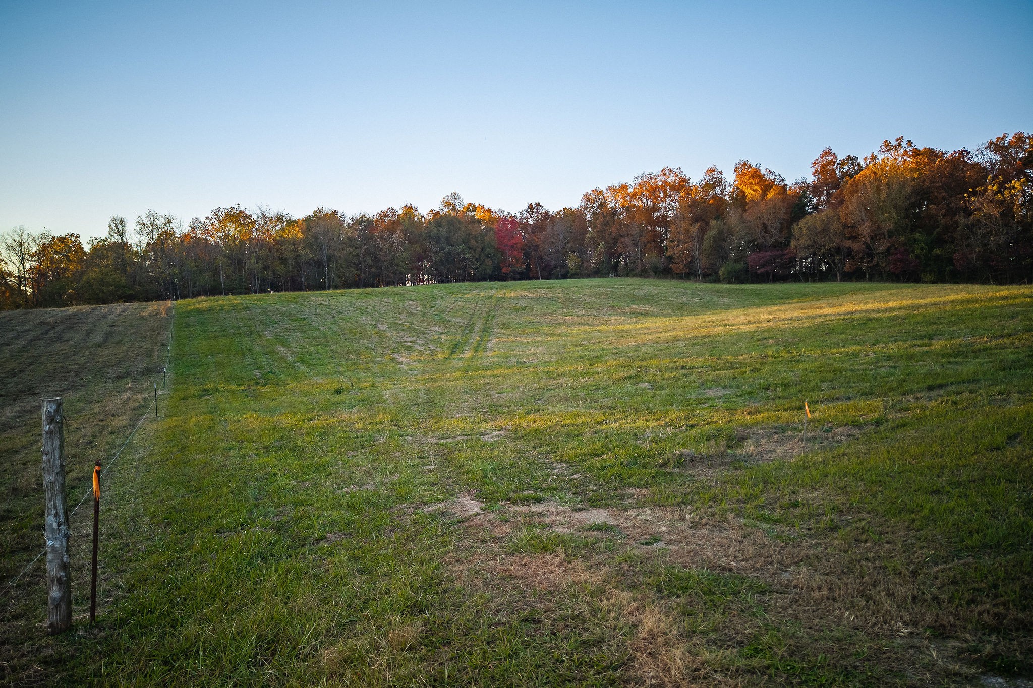 0 Collier Lane Rock Island, TN 38581 - Photo 5 of 14 a view of a garden with trees in the background
