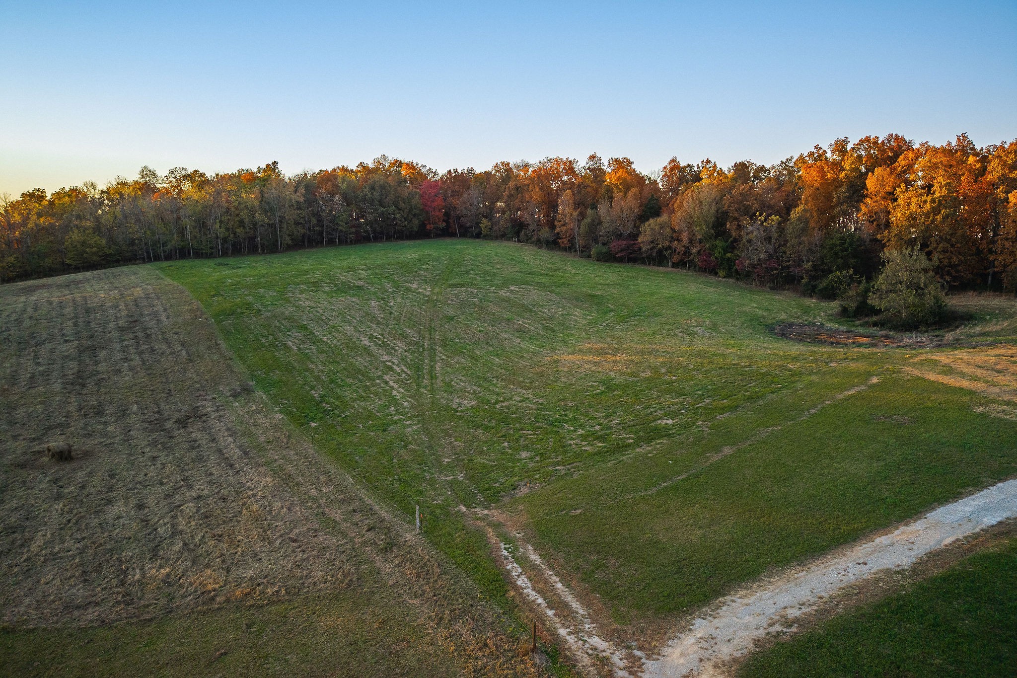 0 Collier Lane Rock Island, TN 38581 - Photo 6 of 14 a view of a field with a trees in the background