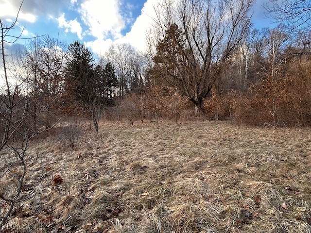 2021 Akron Peninsula Road Akron, OH 44313 - Photo 5 of 8 Gallery Image 5