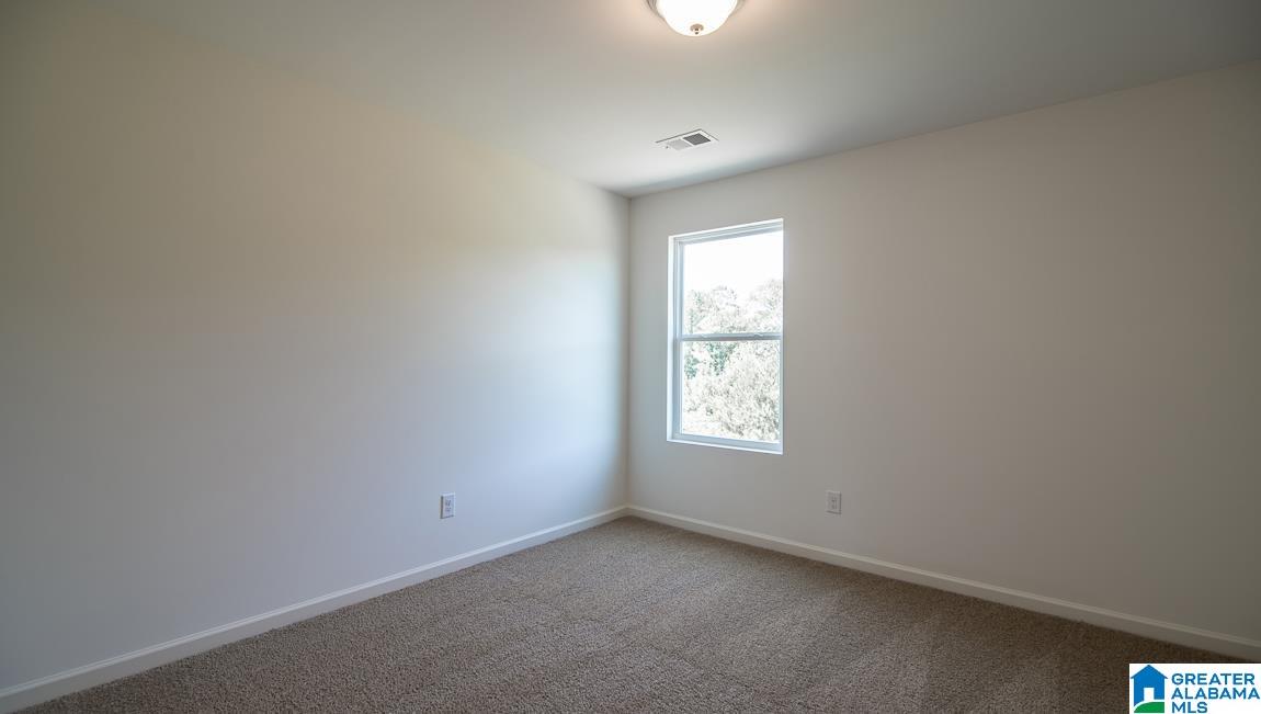 236 Chelsea Park Road Chelsea, AL 35043 - Photo 17 of 22