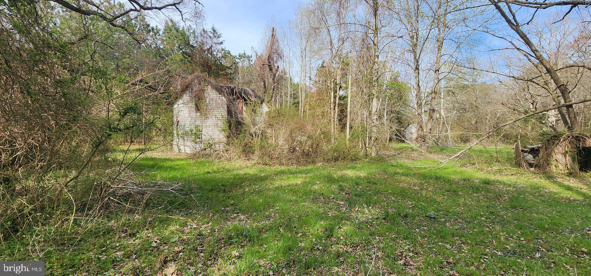 Lot 1 C Road Girdletree, MD 21829 - Photo 2 of 4 Whispers of nature reclaiming space.