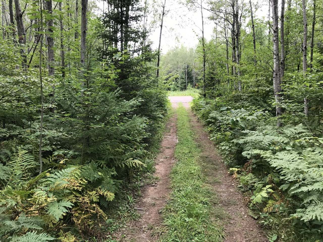 Lot 36 Nathan Pass Mercer, WI 54547 - Photo 62 of 71 Gallery Image 62