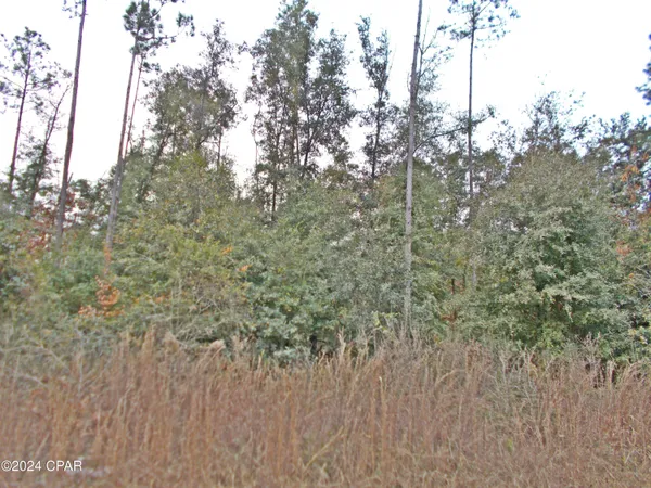 $50,000 | 0 Green Road, Greenwood, FL 32443