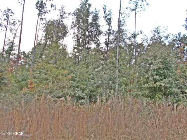 $50,000 | 0 Green Road, Greenwood, FL 32443