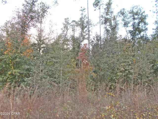 $50,000 | 0 Green Road, Greenwood, FL 32443