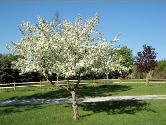 2306 Highgate Road St. Albans, VT 05478 - Photo 3 of 35