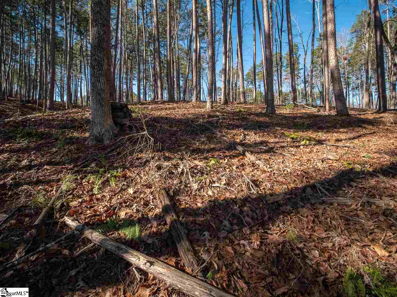 0 Harbor Ridge Road, Unit LOT 136 HARBOR POINT Seneca, SC 29672 - Photo 11 of 28 Gallery Image 11