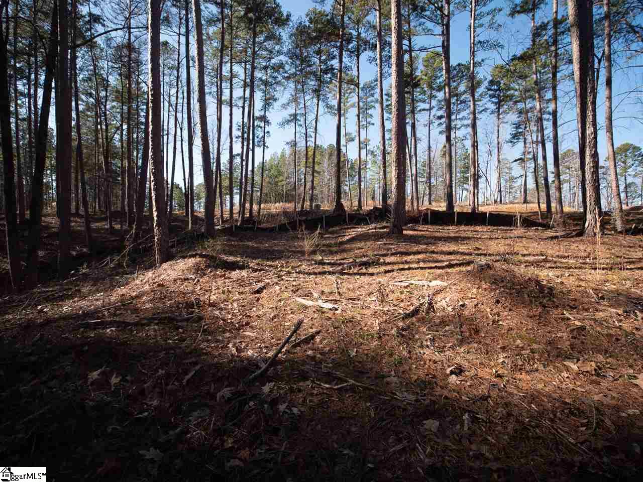 0 Harbor Ridge Road, Unit LOT 136 HARBOR POINT Seneca, SC 29672 - Photo 12 of 28 Gallery Image 12