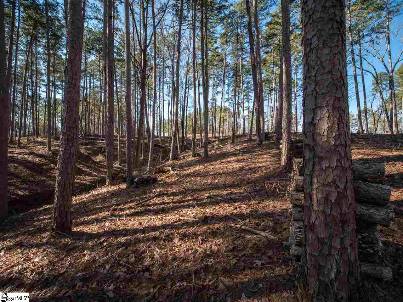 0 Harbor Ridge Road, Unit LOT 136 HARBOR POINT Seneca, SC 29672 - Photo 13 of 28 Gallery Image 13