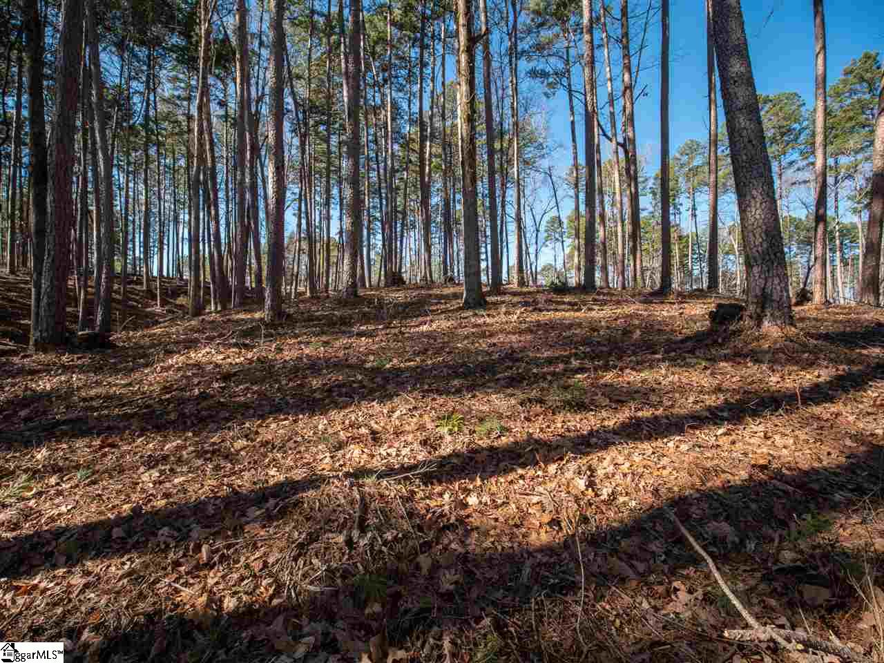 0 Harbor Ridge Road, Unit LOT 136 HARBOR POINT Seneca, SC 29672 - Photo 10 of 28 Gallery Image 10