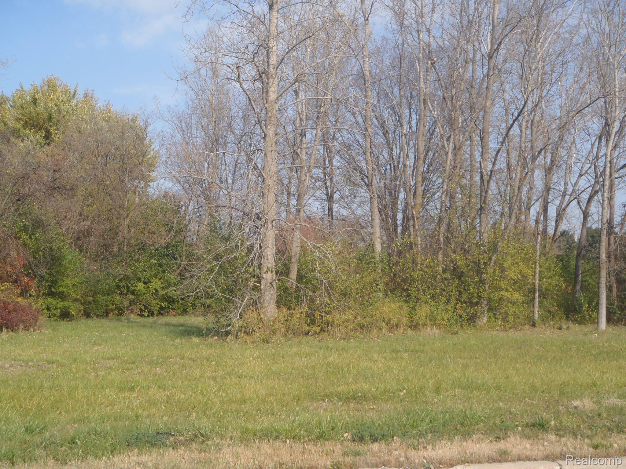 0 Linden Road Flint, MI 48507 - Photo 1 of 2 Gallery Image 1
