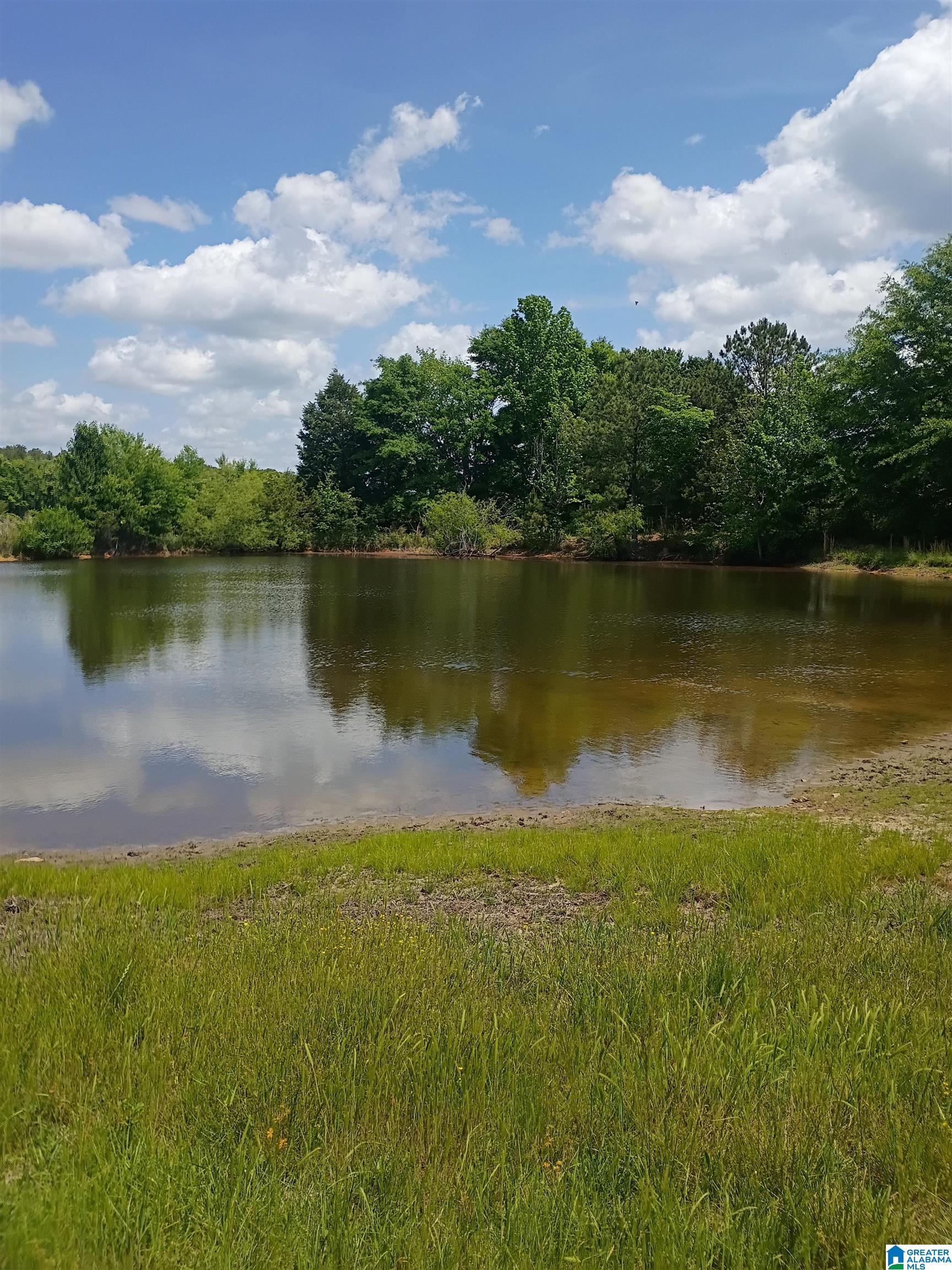 3664 Joe Lee Road Talladega, AL 35160 - Photo 3 of 46